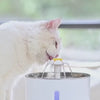 Load and play video in Gallery viewer, Automatic Pet Drinking Fountain