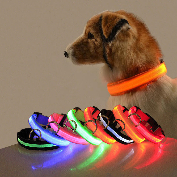 Safety Dog LED Collar