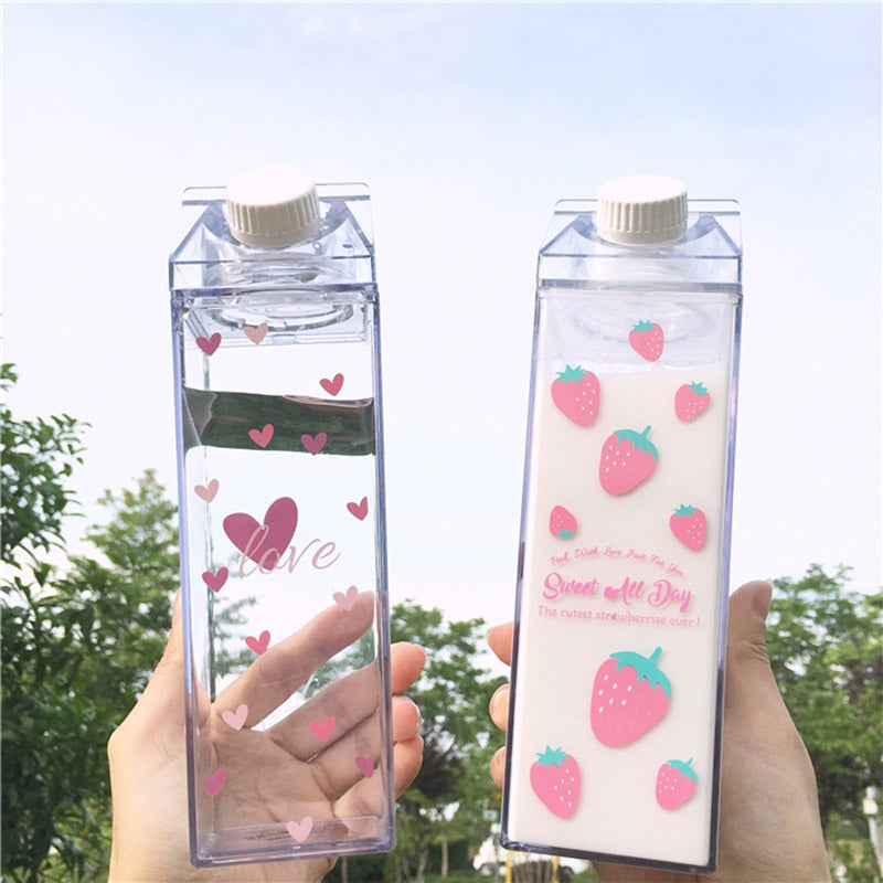 Flower Milk Carton Water Bottle Flower Water Bottle Milk Carton Water Bottle  Milk Carton Decorated Milk Carton Water Bottle 