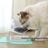 Double Cat Bowls